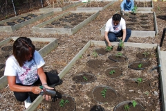 community-planting-5-7-11-003