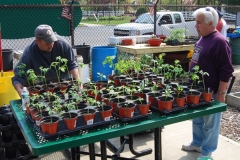 community-planting-5-7-11-005