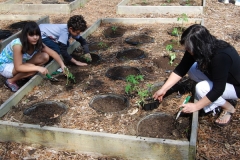 community-planting-5-7-11-011