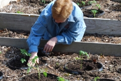 community-planting-5-7-11-012