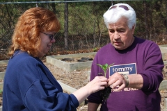 community-planting-5-7-11-014