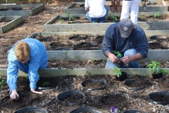 community-planting-5-7-11-015