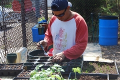 community-planting-5-7-11-023