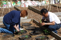 community-planting-5-7-11-030