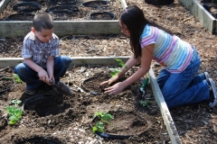 community-planting-5-7-11-039