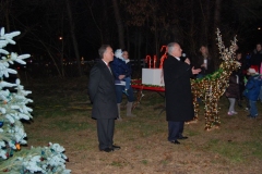 islandia-tree-lighting-12-1-12-063