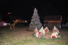 islandia-tree-lighting-12-1-12-188