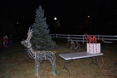 christmas-tree-lighting-2013-067