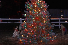 christmas-tree-lighting-2013-190