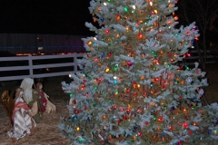 christmas-tree-lighting-2013-191