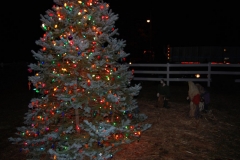 christmas-tree-lighting-2013-194