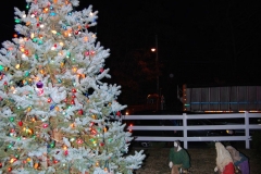 christmas-tree-lighting-2013-195