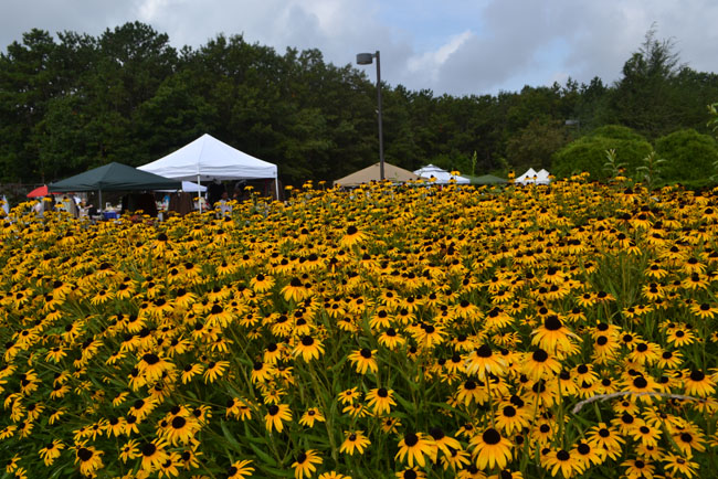 Islandia Village Hosts “Ye Olde Fashioned Tag Sale”