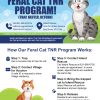 Feral Cat TNR Program (Trap, Neuter, Return)