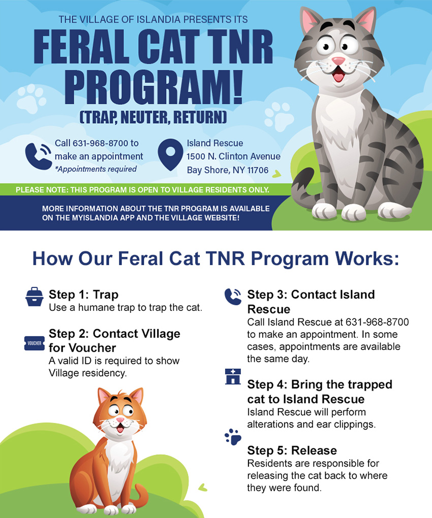 Feral Cat TNR Program (Trap, Neuter, Return)